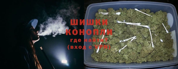 соль ск Богородск