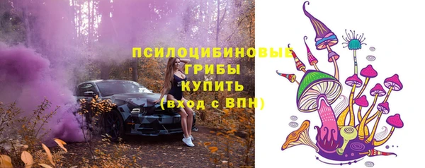 соль ск Богородск