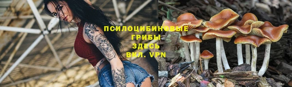 каннабис Сосновоборск