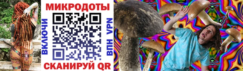 Галлюциногенные грибы Psilocybine cubensis  shop клад  Бузулук 